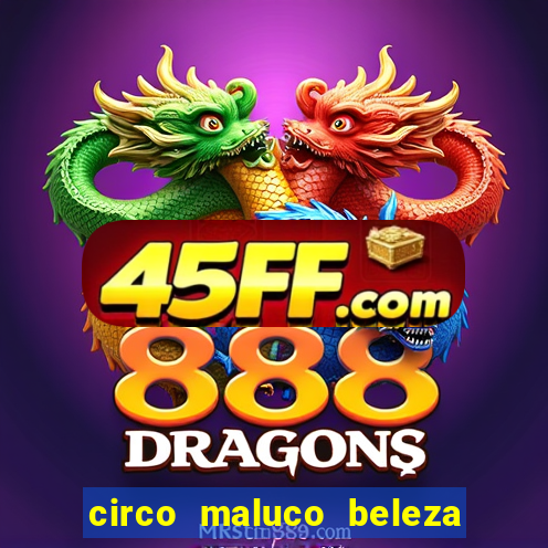 circo maluco beleza recife circo maluco